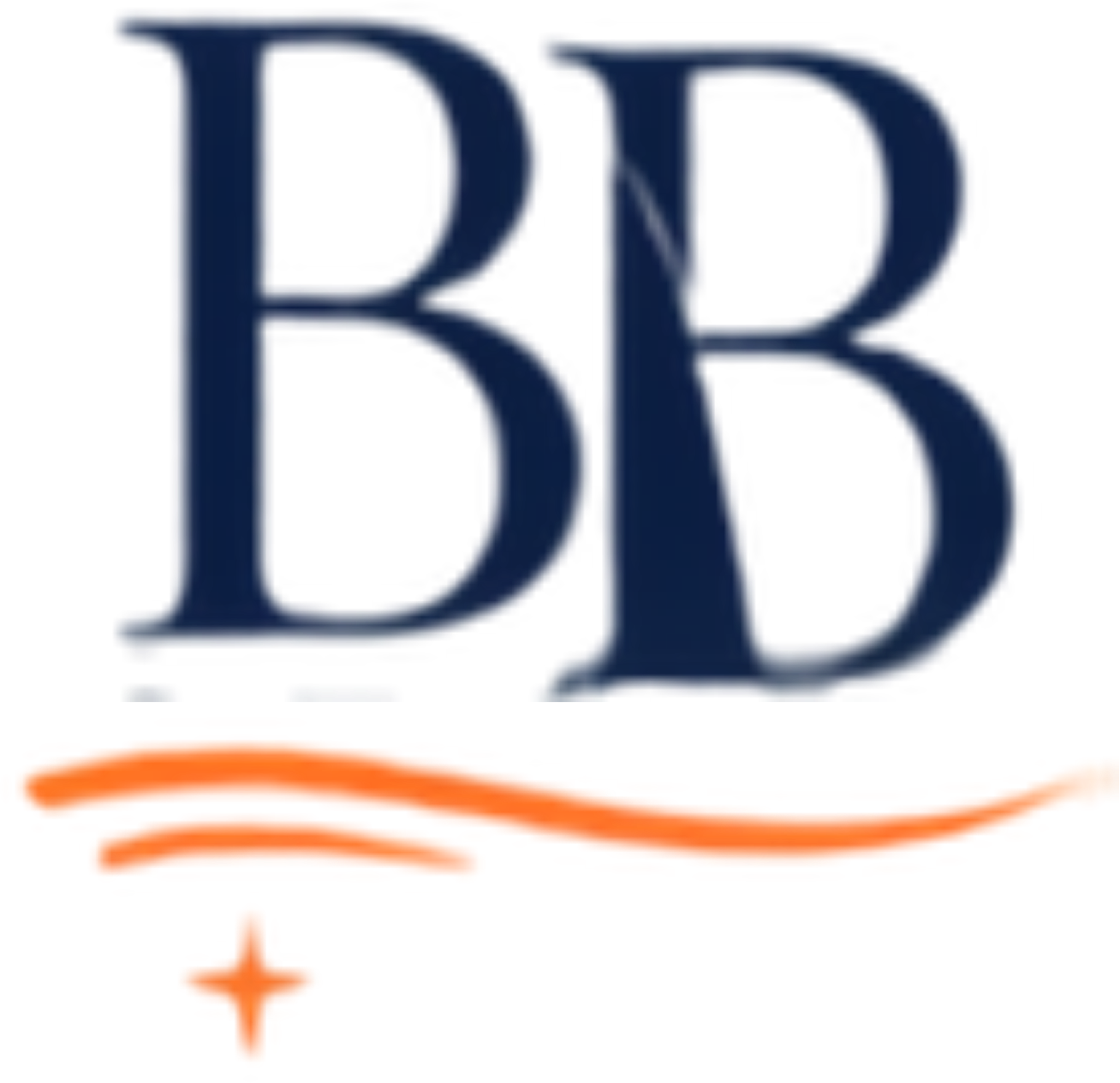 BOAT BABYSITTER® logo